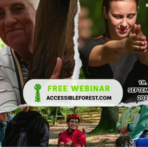 Accessible Forest