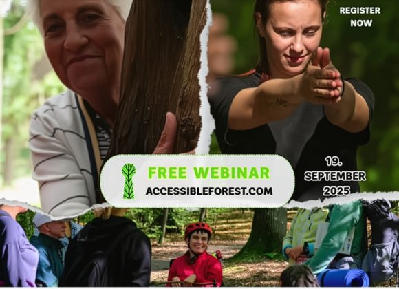 Accessible Forest