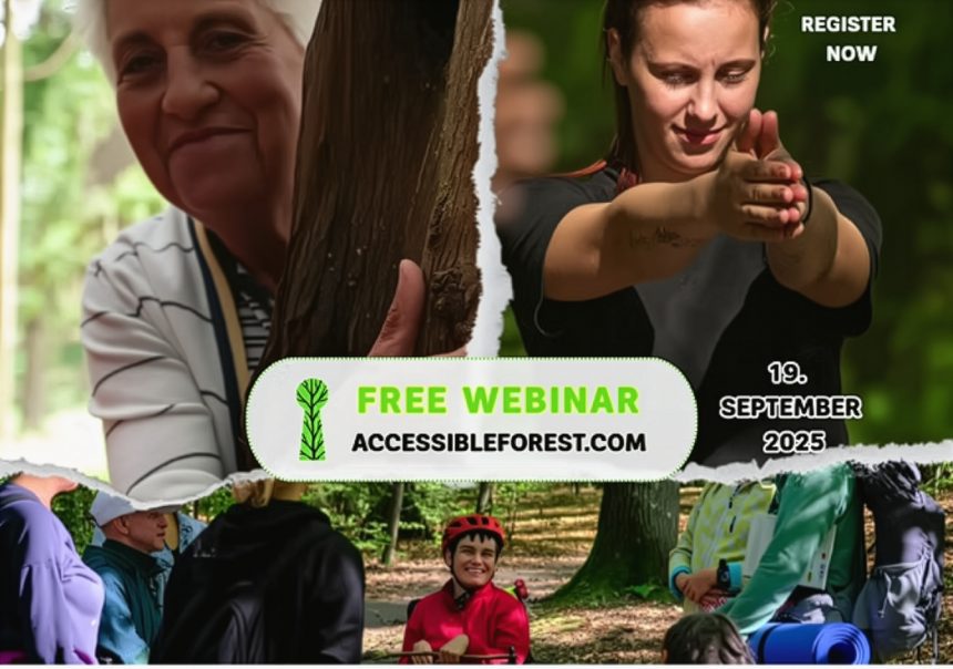 Accessible Forest
